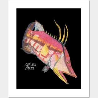 Hogfish (for dark colored shirts) Posters and Art